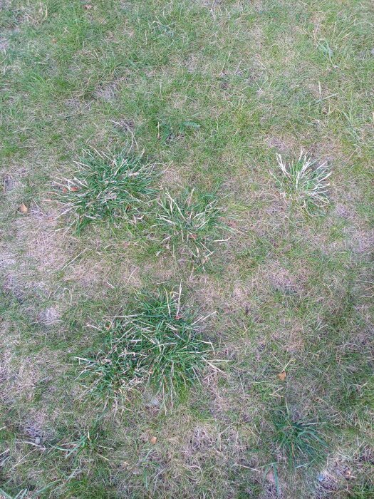 20260802_173709.jpg