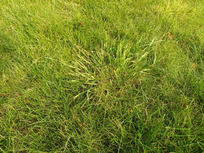 20260802_173756.jpg