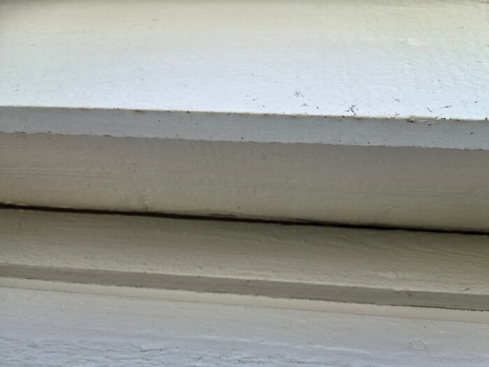 20260804_130217.jpg