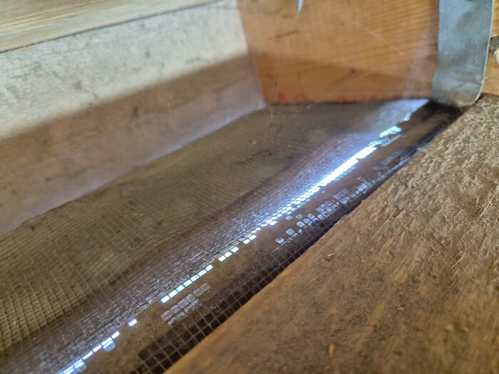 20260804_130155.jpg