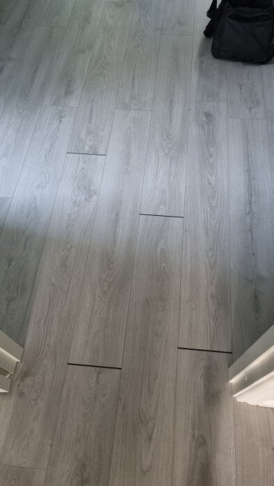 20260804_201142.jpg