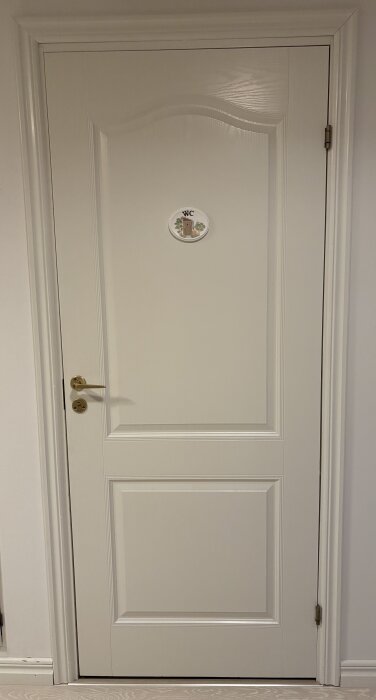 IMG_6734.jpeg