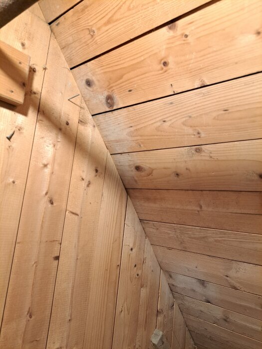 20260805_115213.jpg