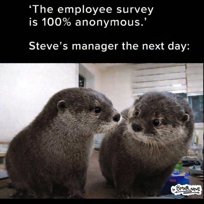 FB_IMG_1786022626862.jpg