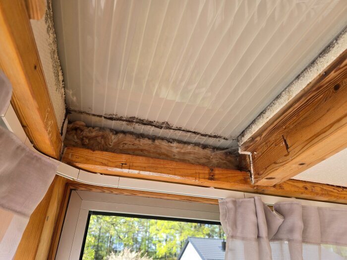 20260516_094542.jpg
