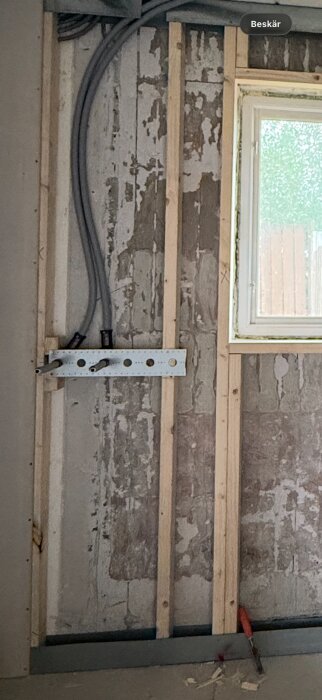 IMG_4306.png
