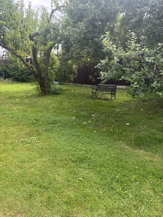 IMG_7923.jpeg