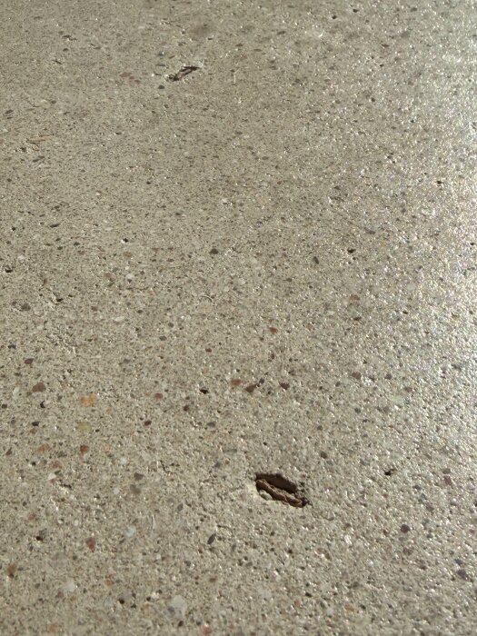 IMG_6803.jpeg
