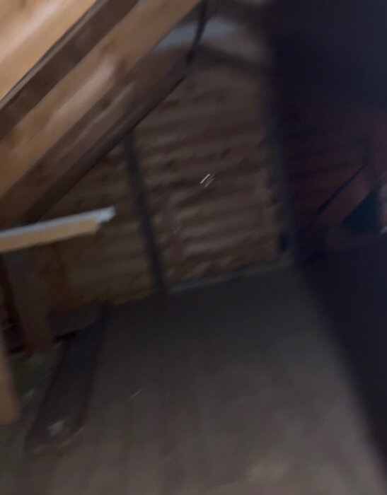IMG_4653.jpeg