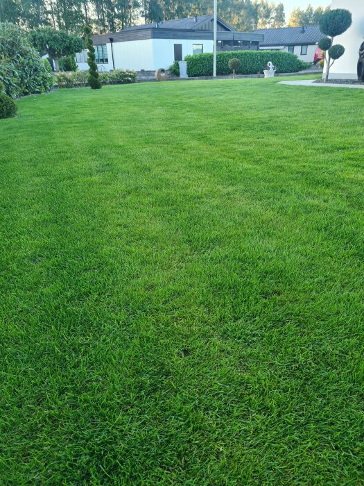 20260525_203819.jpg
