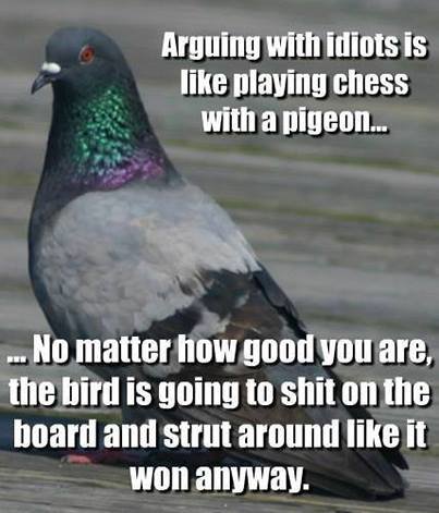 Pigeon.jpg