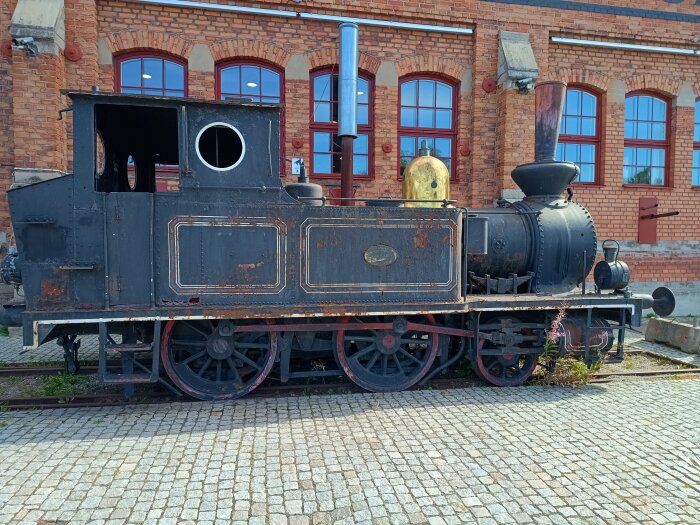 IMG_20260808_101801237_HDR.jpg