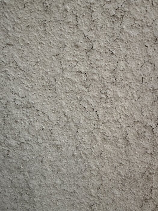 IMG_0870.jpeg