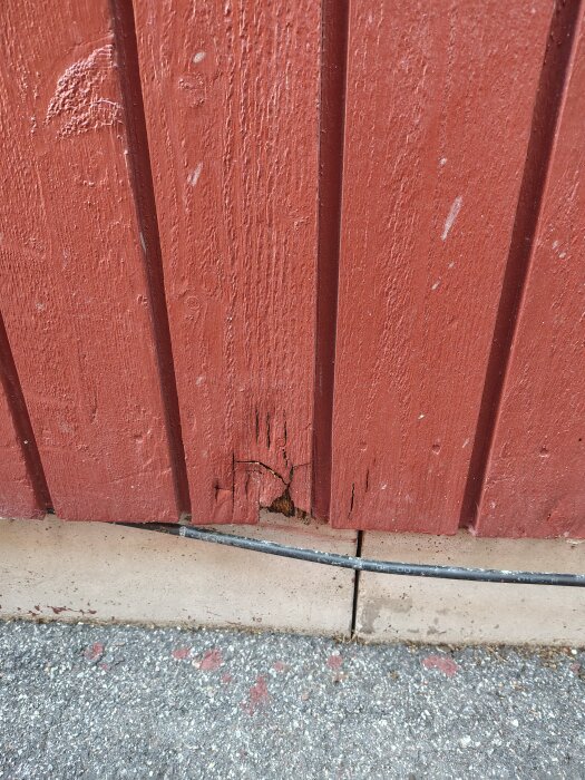 1000010654.jpg