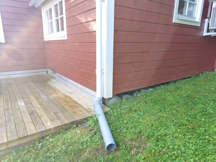 IMG20260809083520.jpg