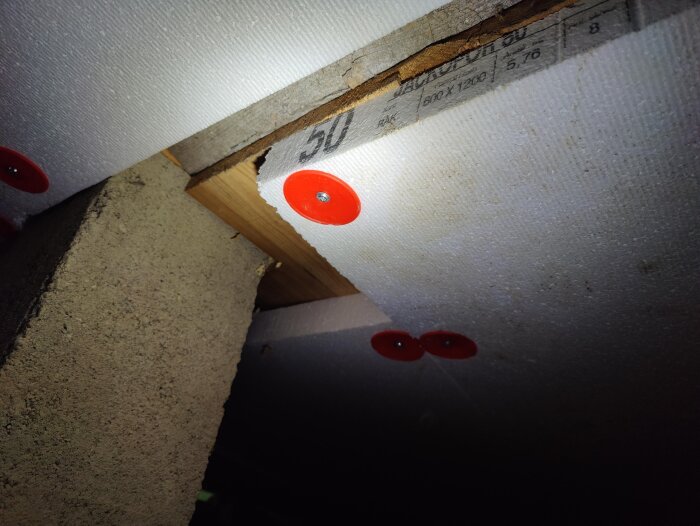 IMG20260809122036.jpg