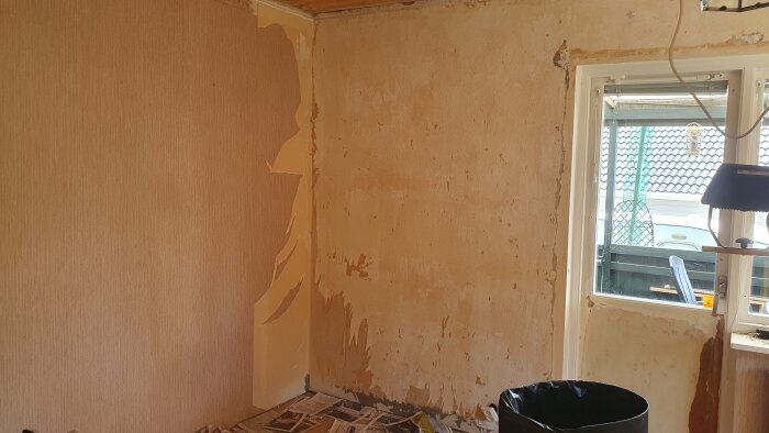 2026-07-09 [13.02.31].jpg