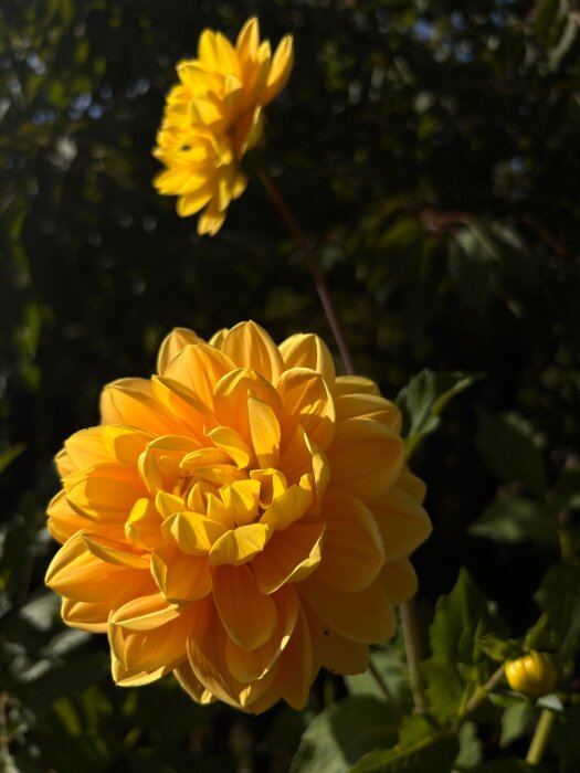 IMG_8728.jpeg