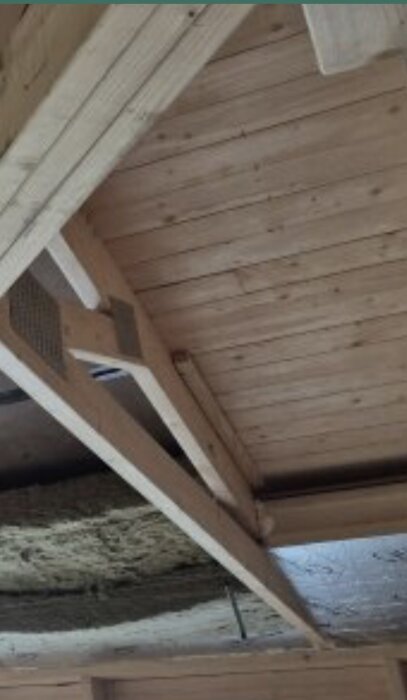 IMG_2071.jpeg