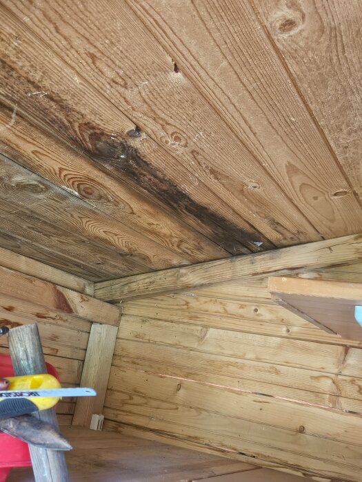 20260812_141117.jpg