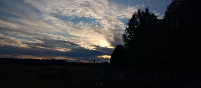 IMG_20260812_194920390_HDR.jpg