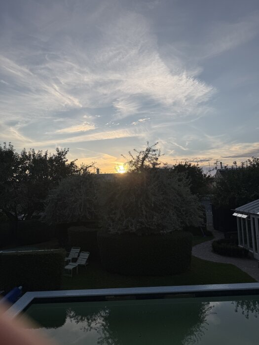 IMG_5428.jpeg