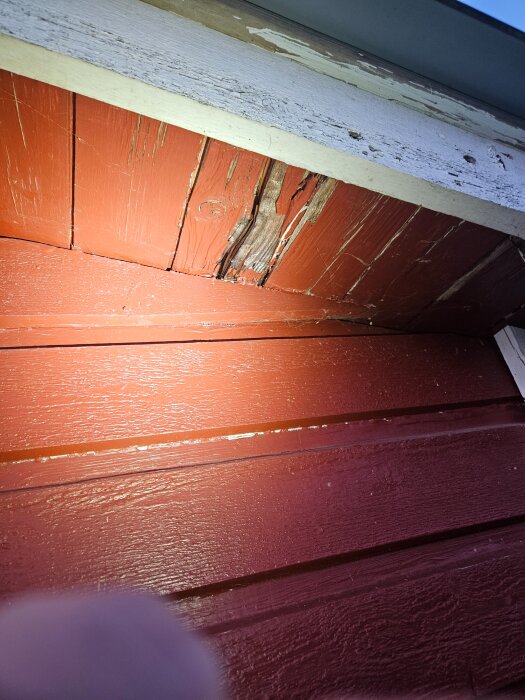20260812_210414.jpg