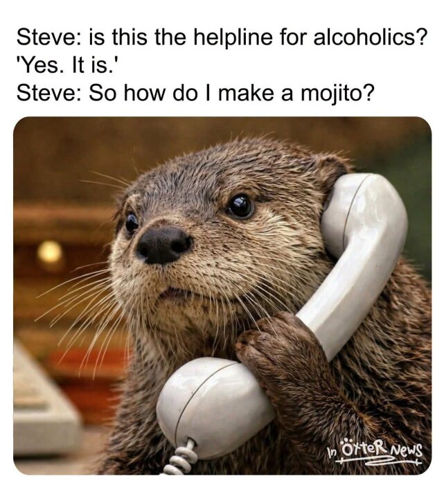 Utter med telefon, bildtext om att ringa en alkoholinfolinje och fråga om mojitorecept.