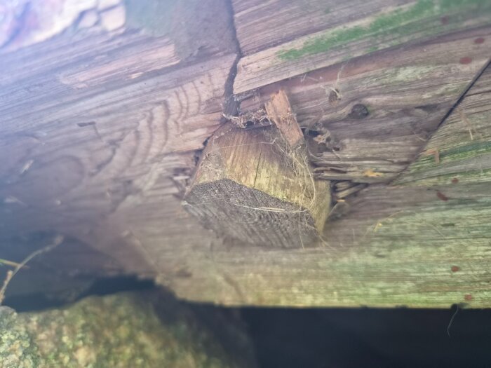 20260814_162055.jpg