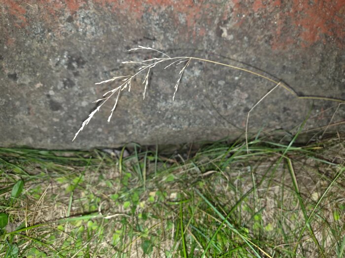 20260815_221051.jpg