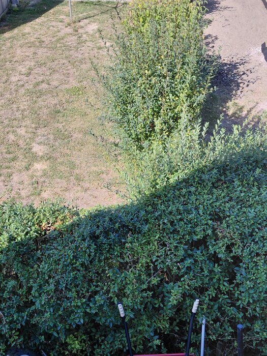 20260817_152758.jpg