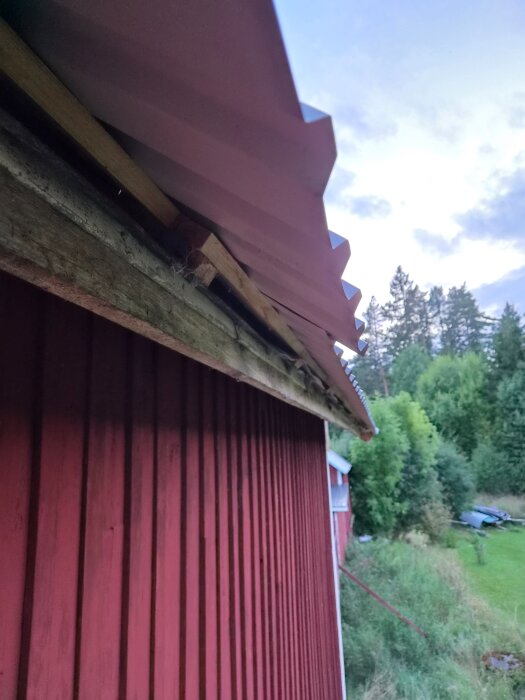 20260817_205917.jpg