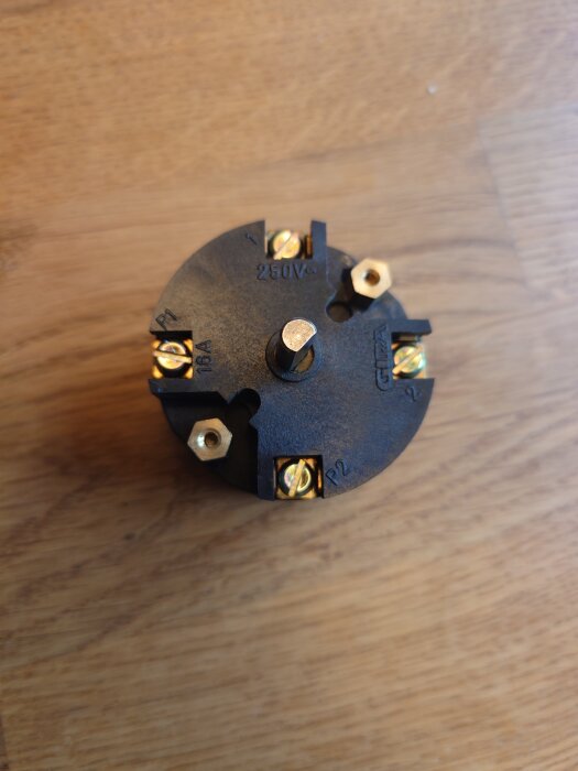 20260818_105510.JPG