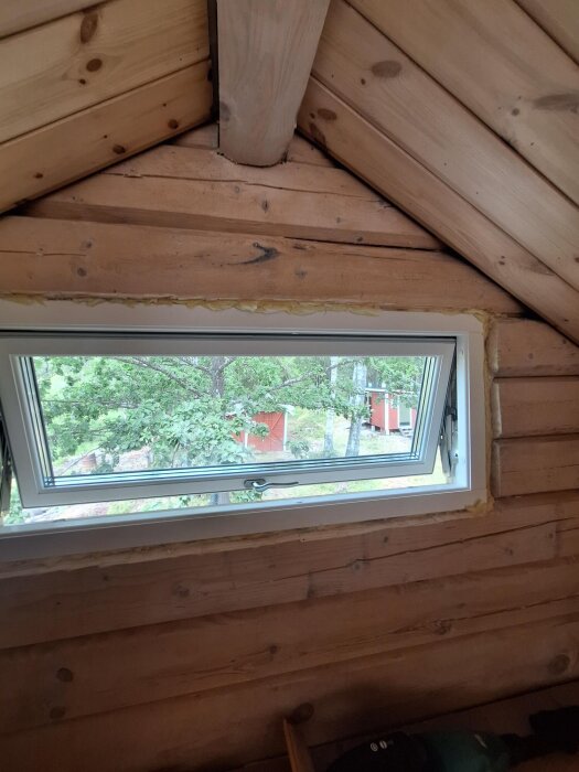 20260809_105458.jpg