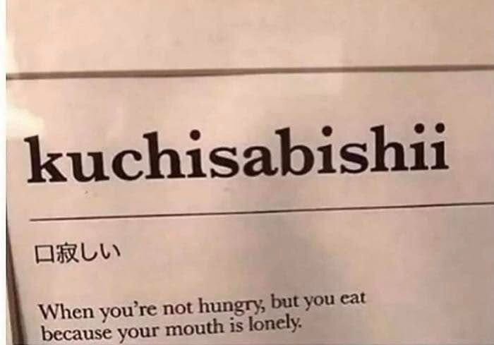 Text med japanskt ord "kuchisabishii" och förklaringen "When you're not hungry, but you eat because your mouth is lonely.