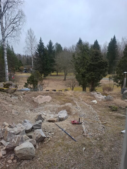 20250322_105550.jpg