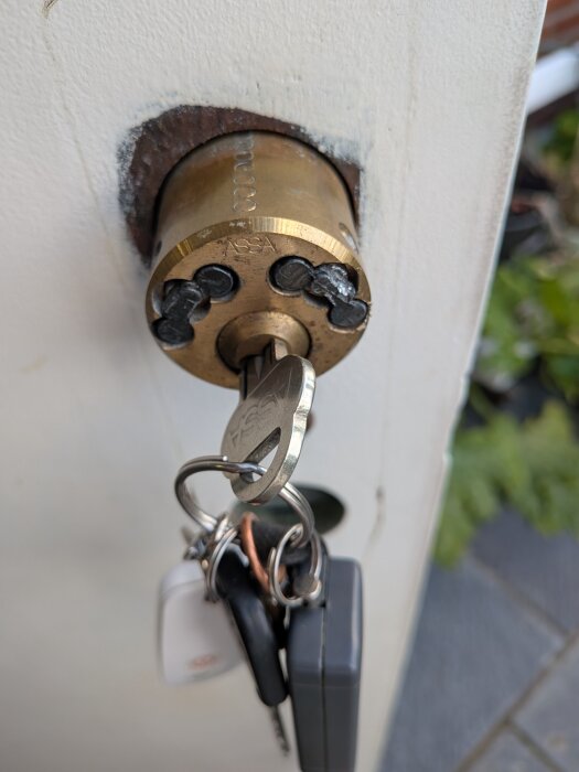 PXL_20260821_170541094.jpg