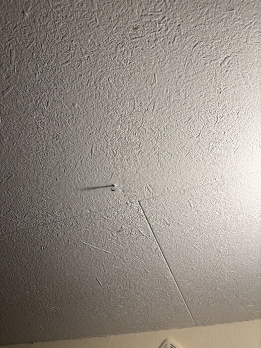 IMG_7466.jpeg