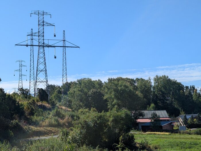 PXL_20260818_091500174.MP.jpg