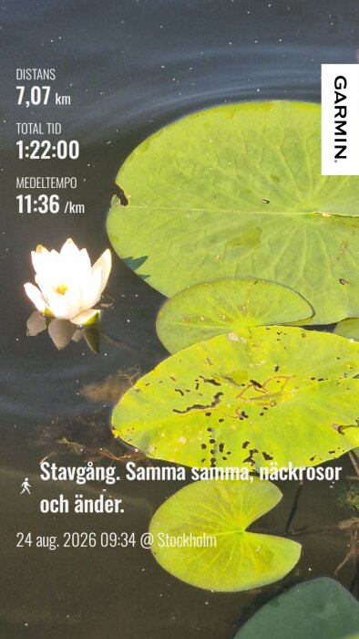 GarminConnect_20260824-202833.png