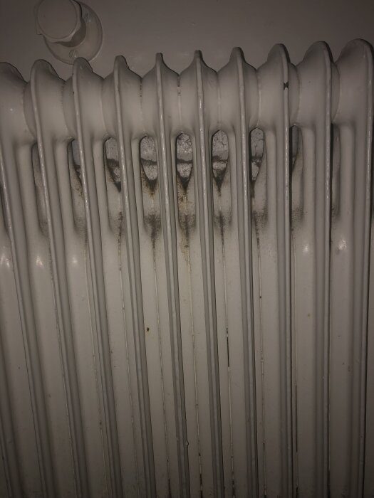 IMG_0301.jpeg