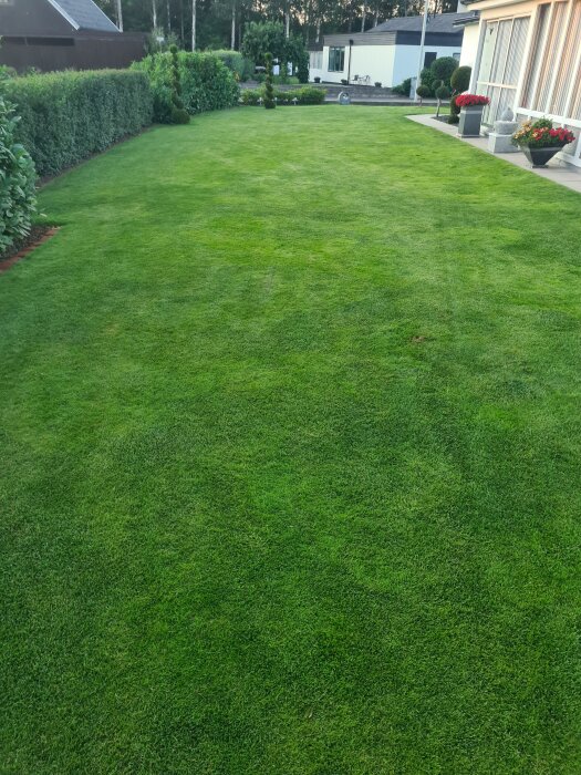 20260729_204650.jpg