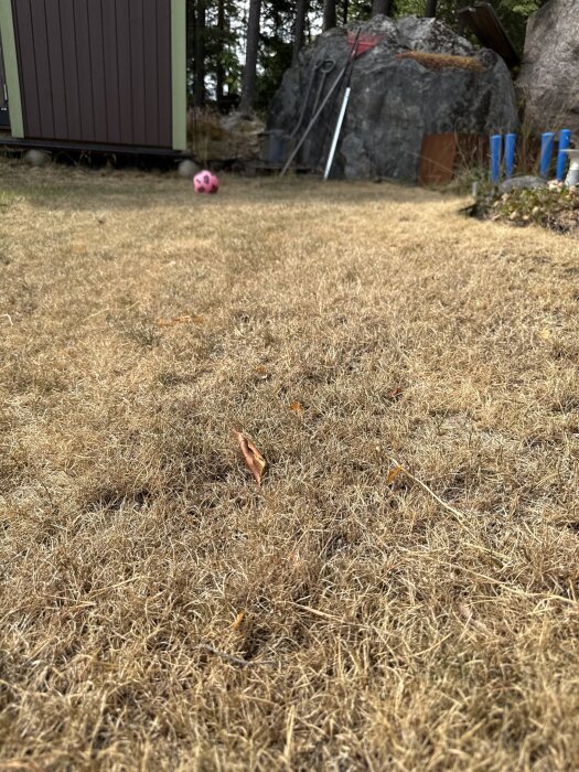 IMG_4439.jpeg