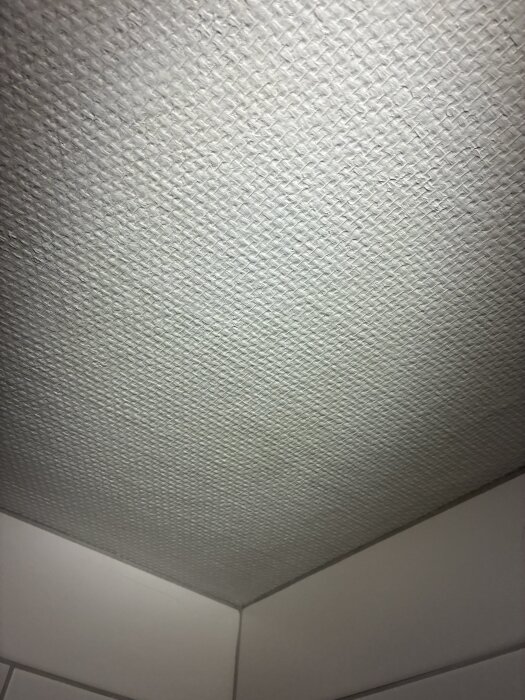 IMG_1604.jpeg