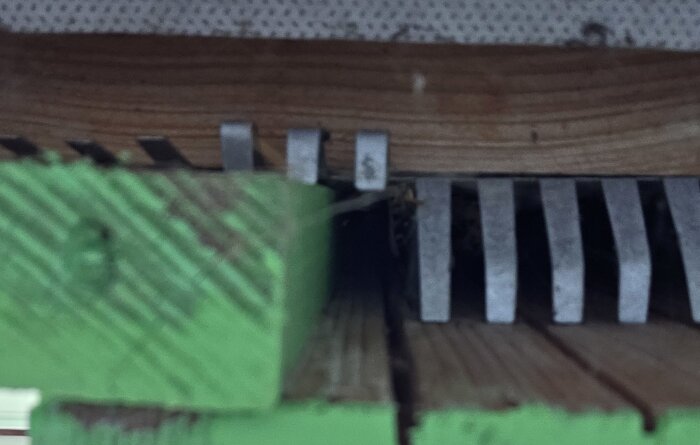 cropped1.jpg