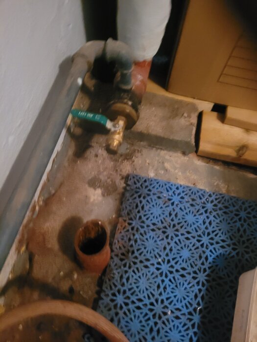 20260827_113913.jpg