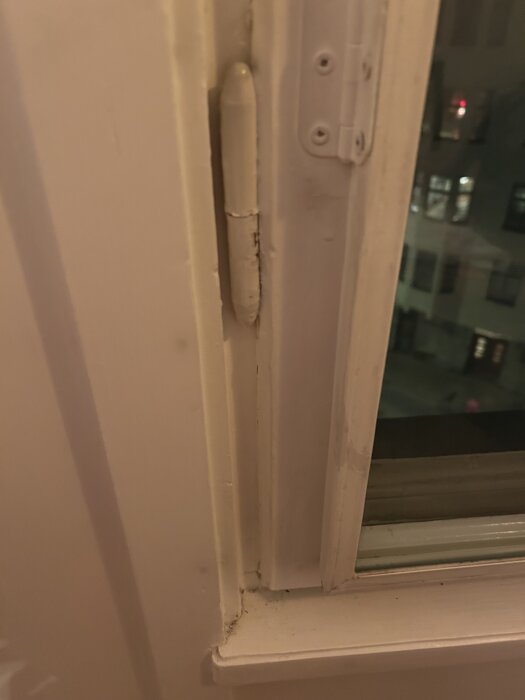 IMG_1004.jpeg