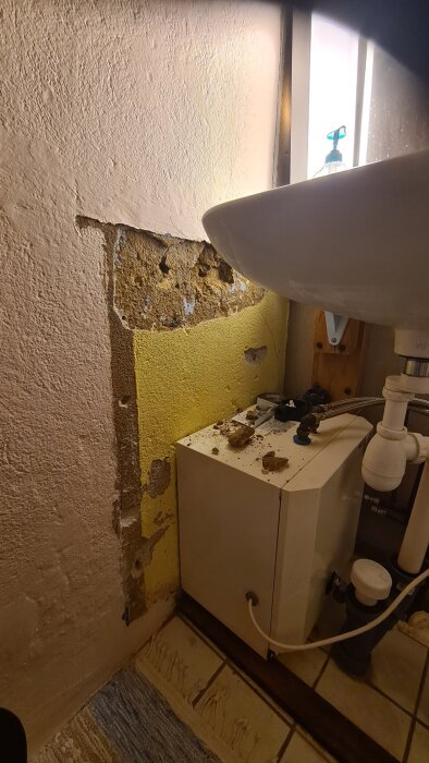 20260827_225910.jpg