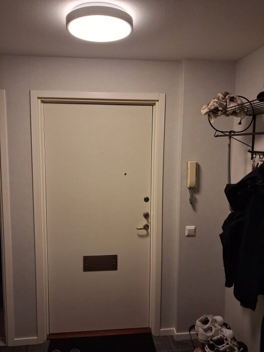 20260828_190156.jpg