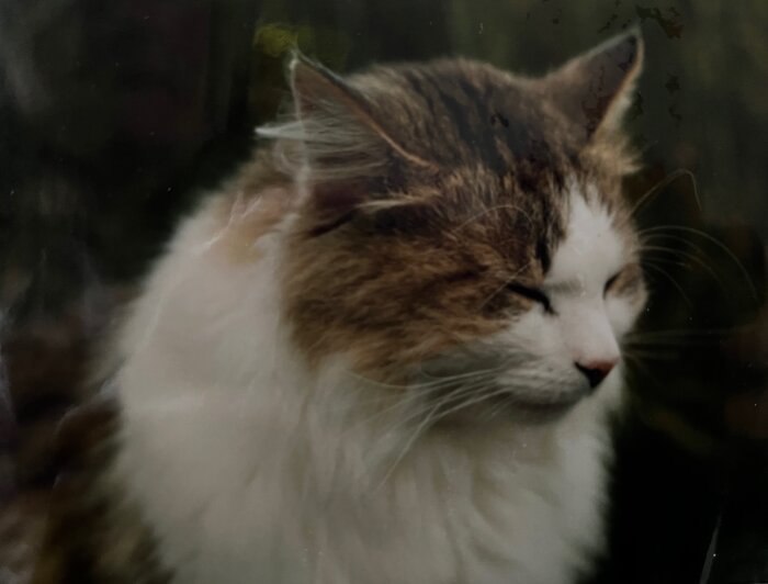 IMG_3542.jpeg